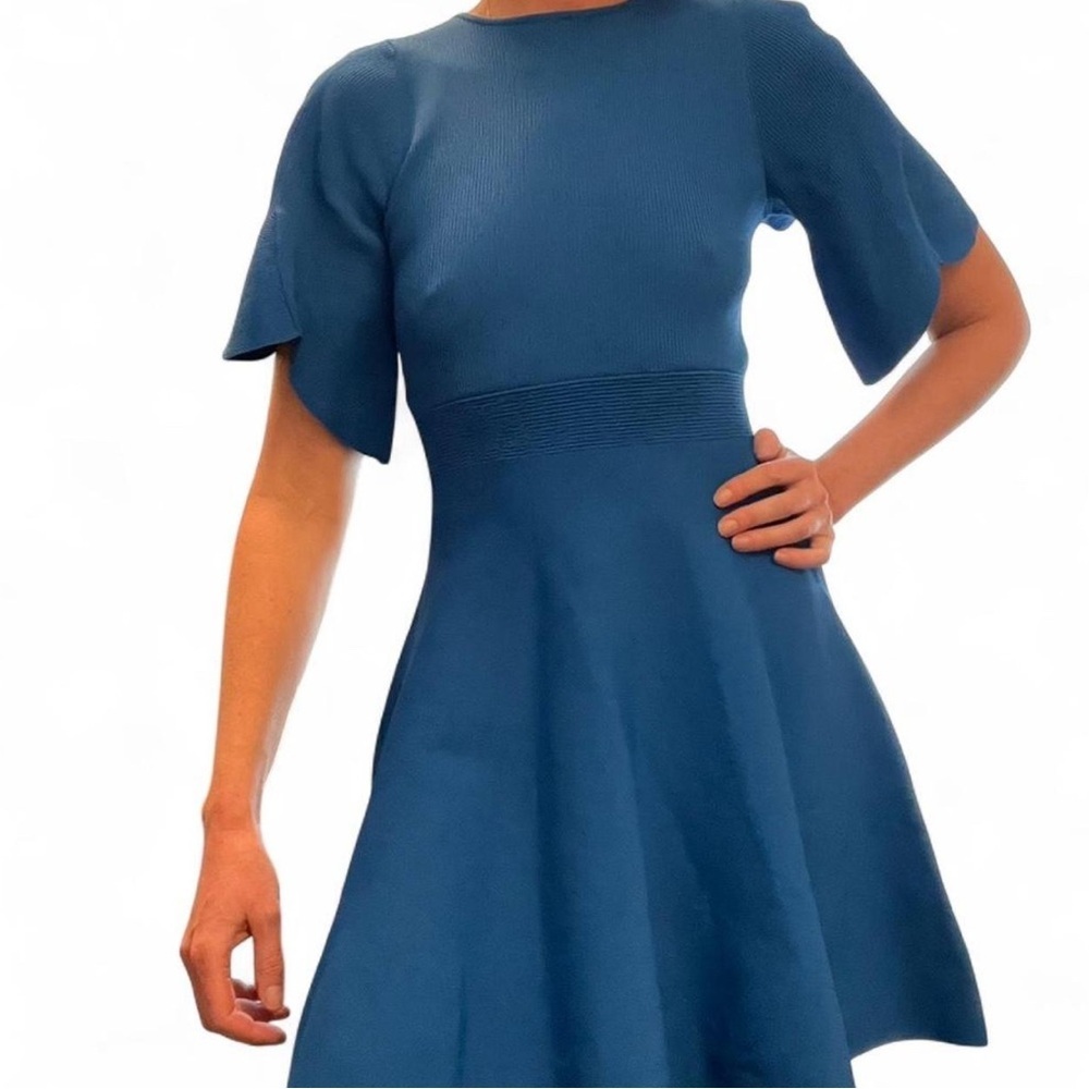 Ted Baker Flare Short Sleeve Crew Neck Mini Dress Sophisticated Size 1/Small.